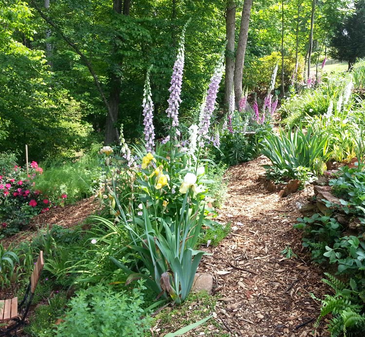 We have lots of biodiversity, including both edible and non-edible flowering plants throughout our garden. How to start a garden by Tyrant Far ms