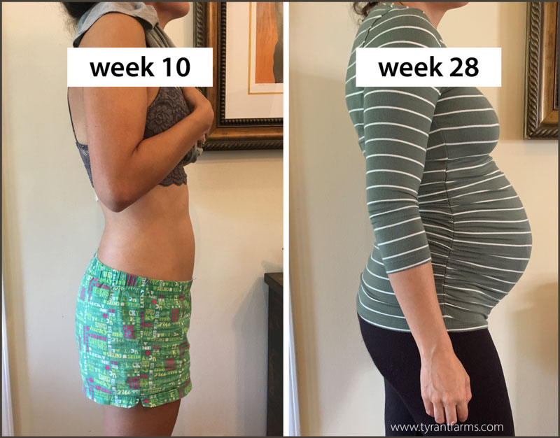 Pregnancy Week 28: Doula, Lamaze, & kinesio tape for pregnancy pain -  Tyrant Farms