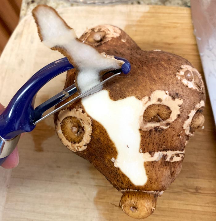 Peeling groundnut tubers with a carrot grater. 