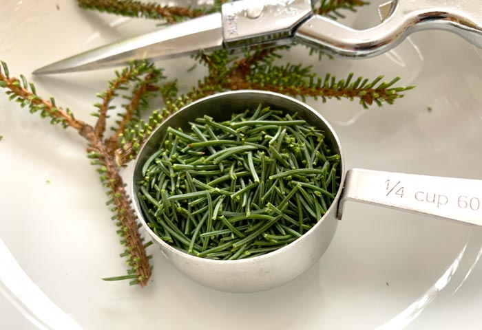 Mature spruce needles (and other edible conifers) can add amazing flavor to dishes when properly utilized. We didn't properly utilize them, but you can! 