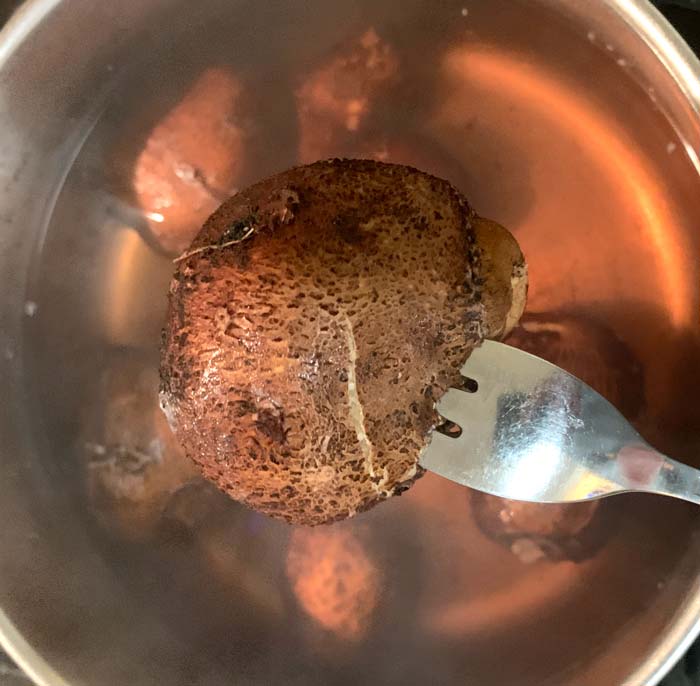 A fork easily sticks into a cooked American groundnut tuber. Also interesting to note is the red-brown color of the water they were cooked in resulting from compounds leaching from the skins. 