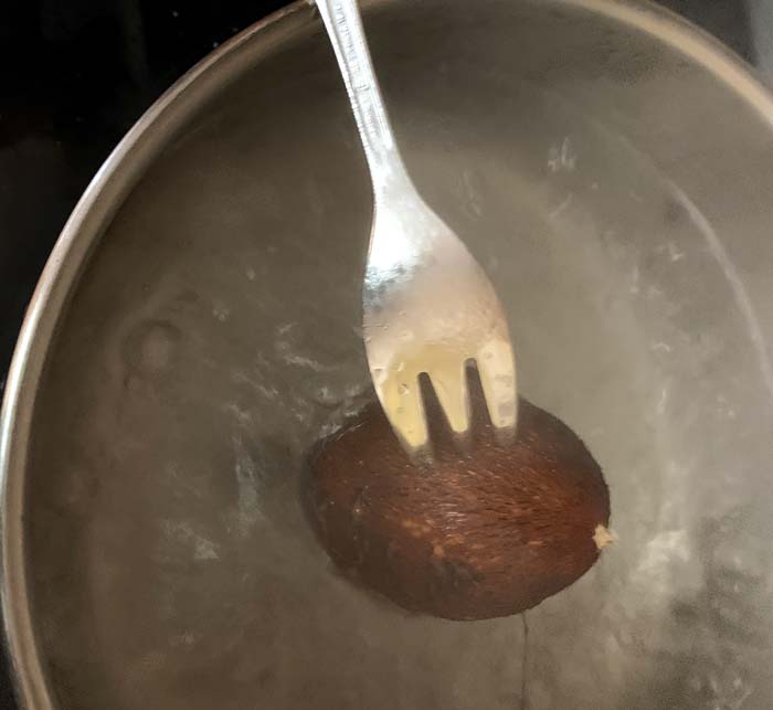 How do you know when your American groundnut is ready to be eaten? Like a potato, you should be able to stick a fork into it.