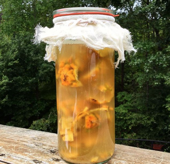 Fermentation. One of our favorite summer beverages is tepache, aka Mexican pineapple beer. We make it from the skins of our homegrown pineapples and our neighbor's honey - it's delicious, slightly alcoholic, and very pleasing to our gut flora (so they tell us).