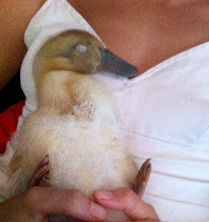 Sometimes all you need is a good nap. Svetlana taking a nap with Susan.