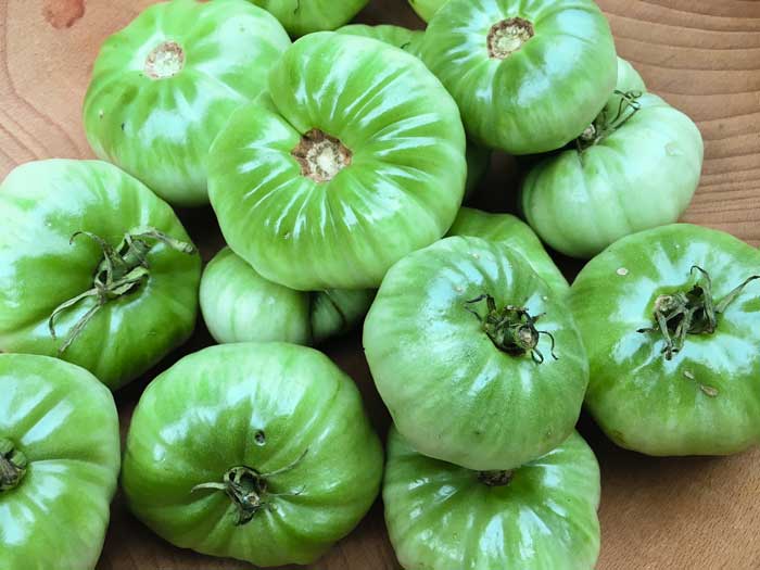 Some of the larger green tomatoes from Oak Hill Cafe & Farm.