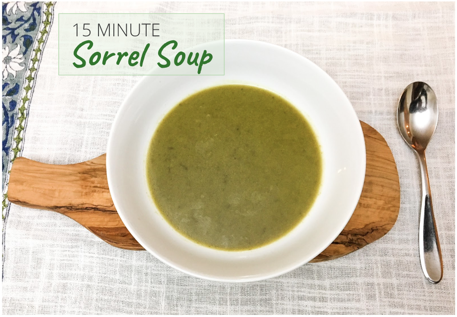 This 15 minute sorrel soup recipe can be made with cultivated garden sorrel or wild sheep sorrel. 