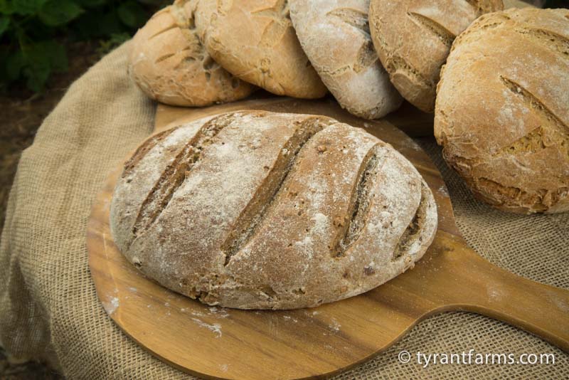 Whole wheat, organic, sourdough bread wood-fired to absolute perfection. If this was the 