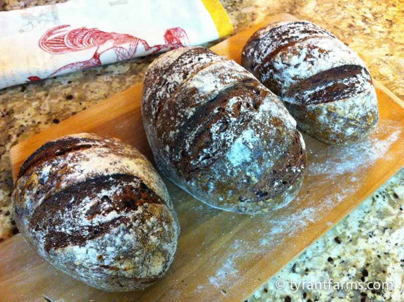 RIP wood-fired blueberry rye bread. These were not with us long, but they lived a good life. 