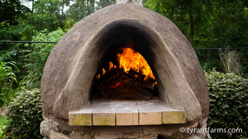 This is as large a fire as you'd possibly want to warm your cob oven. You want a medium sized fire constantly burning, not a huge fire with flames billowing out of the front. 