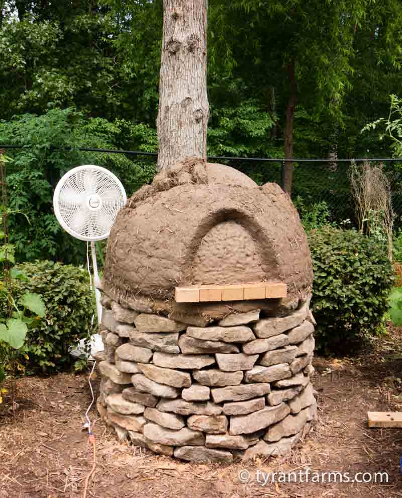 Interior clay layer completed; cob layer about 75% completed. Notice that we formed the cob into round balls about the size of a brick before applying. We had three people making cob