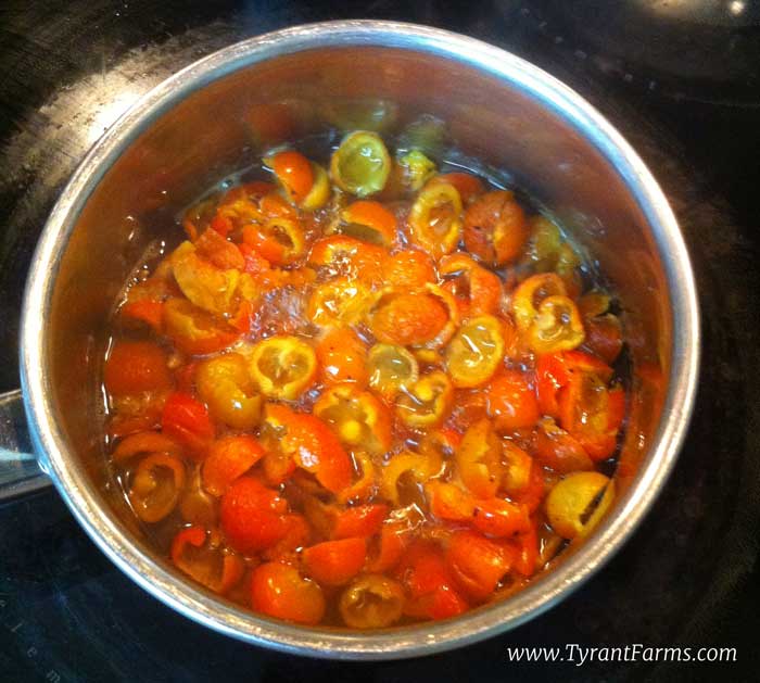 A saucepan full of processed rose hips being cooked down for rose hip preserves at Tyrant Farms.