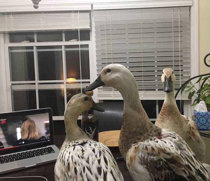 Svetlana loved having friends in for movie night, although she didn't necessarily enjoy sharing her food and treats.