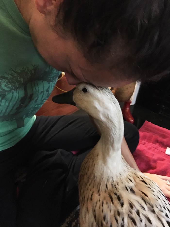 The Tyrant trying to explain that Svetlana isn't coming back to Jackson the Duck, Svetlana's grieving soulmate.