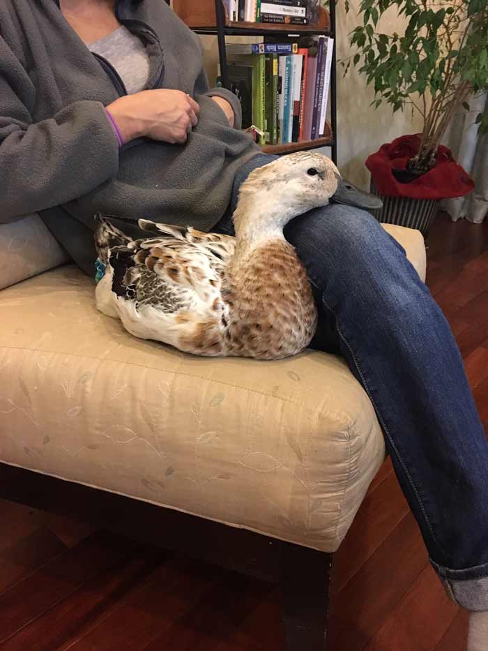 Svetlana resting her head on The Tyrant's lap.