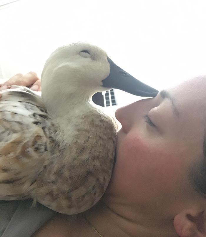 We're still not ready to say goodbye. We still have waves of grief hit us each day. We'll never forget Svetlana and we'll treasure the memories she made with us forever.