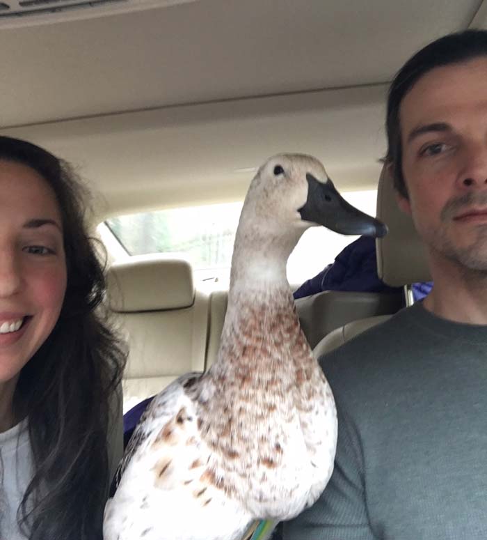 Svetlana on the road to the family lakehouse during Thanksgiving 2017.