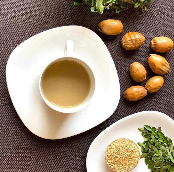 Hot-brewed yaupon holly & roasted acorn flour. With a rich, delicious flavor and a jitter-free caffeine level potentially higher than coffee, what's not to love?