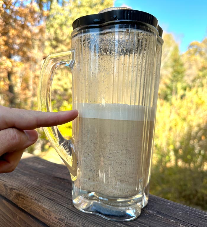 Pulverized acorns ready to finish being cold-leached. Don't try to do too many at once or your blender will hate you!