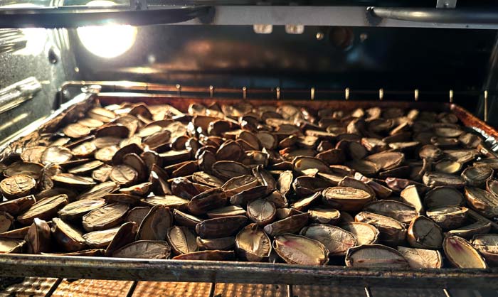 The wonderful aroma of roasting acorns will give you your first sense of how acorn flour tastes.