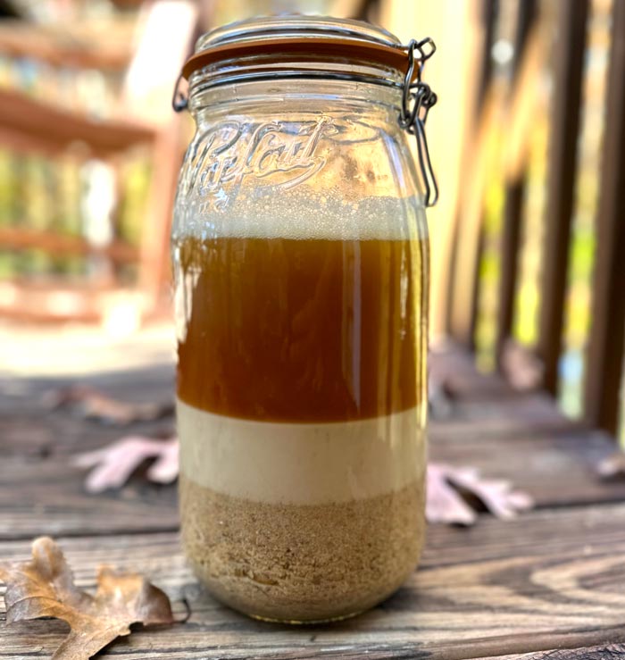 Cold leaching acorns for acorn flour. When changing water, carefully pour off the top brown water layer that's full of bitter tannins without letting the center white layer pour out.