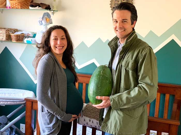 My mom thought it would be entertaining to take a photo of The Tyrant and I side by side comparing our respective watermelons. We still have a late season 12 pound Moon and Stars watermelon from our garden for a prop. 40 weeks pregnant - Susan and Aaron von Frank