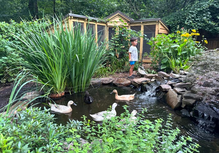 Our son LOVES exploring around our backyard pond. Even though he's now a good swimmer for his age (four), we always make sure we're with him for safety reasons. 