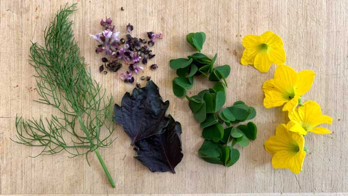 A few of the recommended (not required) garden ingredients to add flavor and visual interest to the plate: fennel, purple basil leaves, African blue basil flowers, wood sorrel leaves, cantaloupe flowers (male flowers only). 