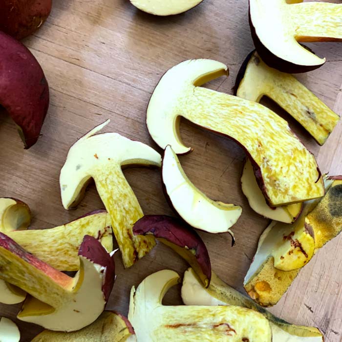 Note how shallow the tube layer is on these bicolor boletes on the underside of the caps. This is another identifying feature.