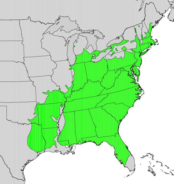 Black tupelo's United States' range.