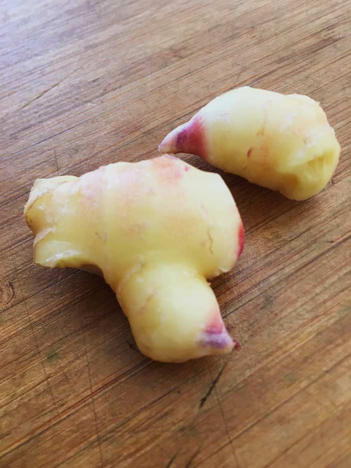 Baby ginger once the scales/skin are removed by finger. Since it's less fibrous, baby ginger is ideal for making candied ginger or an ingredient to add another layer of spicy flavor complexity to calamondin marmalade.