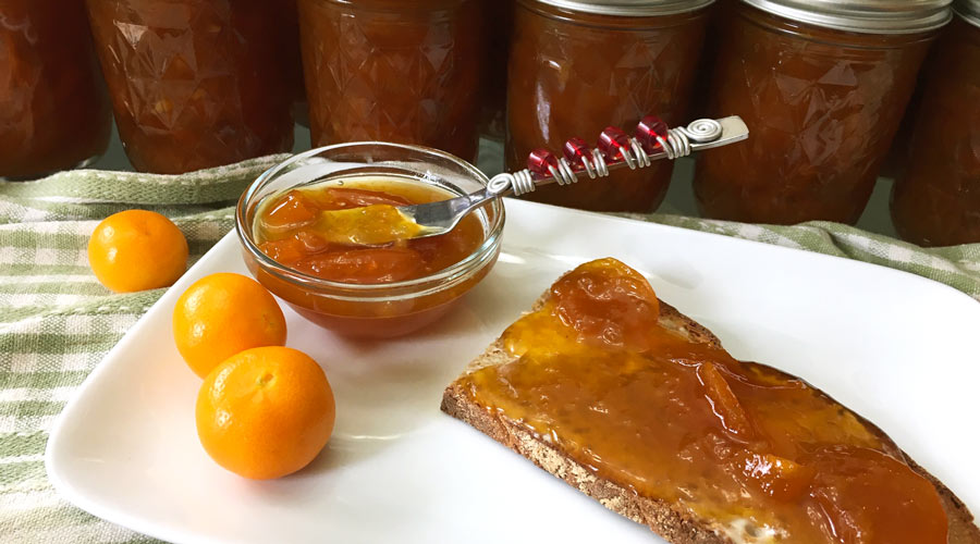 Calamondin Jam Recipe - Home Alqu