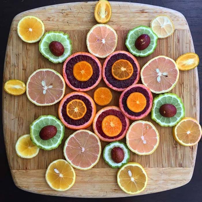 Citrus art! A beautiful selection of citrus from our collection, including kumquats, meyer lemons, pink lemonade lemons, makrut limes, finger limes, and calamondin oranges.