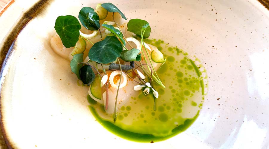 Recipe: Calamondin citrus-scallop aguachile thumbnail