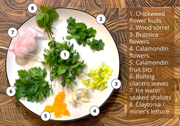 If you garden and forage like I do, you can come up with all sorts of interesting garnishes for a dish like this. I left the jalapeno pepper slices off of my version.