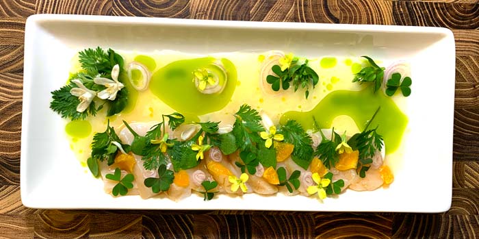 The results from my at-home replication of Chef David's calamondin citrus-scallop aguachile. I served this version on a deep plate with seasonal garnishes from our garden then presented to The Tyrant for lunch. She accepted the offering.