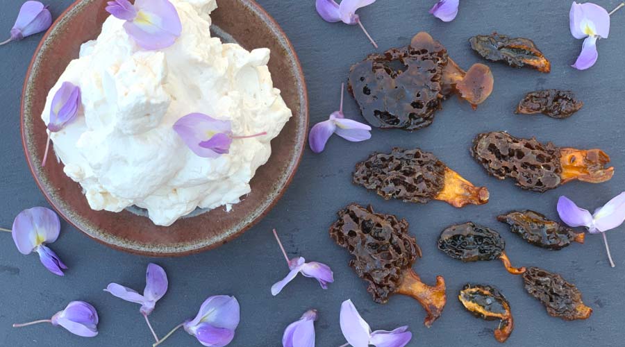 Maple-candied morel mushrooms with spruce needle-whipped cream thumbnail