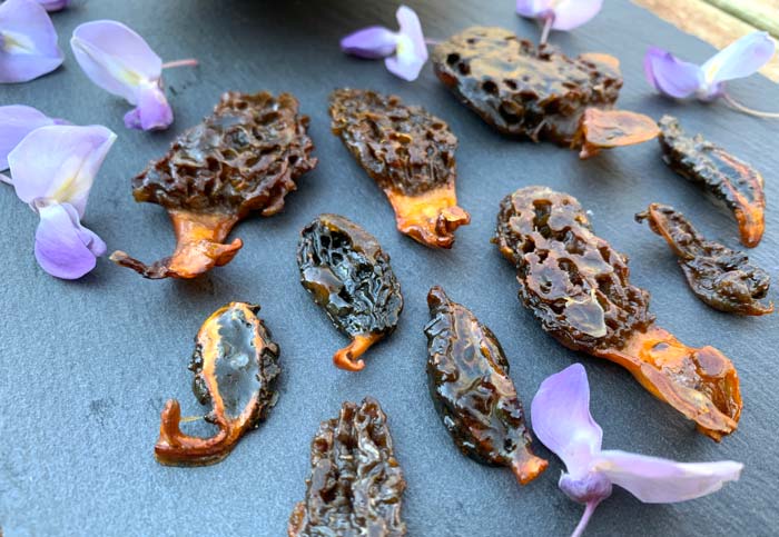 Yes, maple-candied morel mushrooms are real. Yes, they're delicious. If you make them, we bet you'll love them too. 