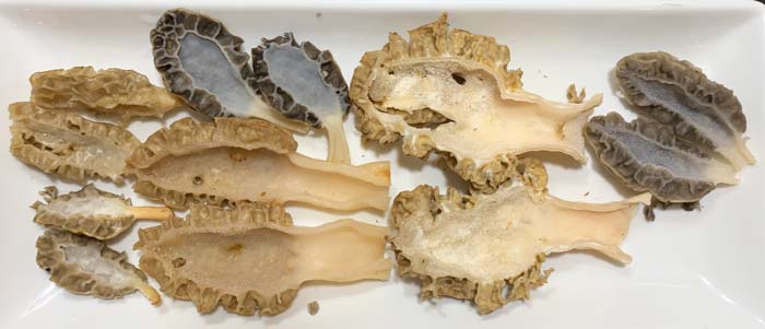 Cleaned and sliced morel mushrooms of varying species.