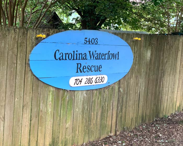 The Carolina Waterfowl Rescue sign greeting adoptees outside the facility in Indian Trail, NC. 