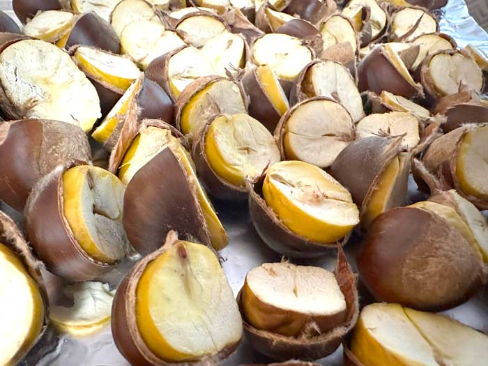 See how these flash-baked chestnuts have already pushed out of their testas and shells?