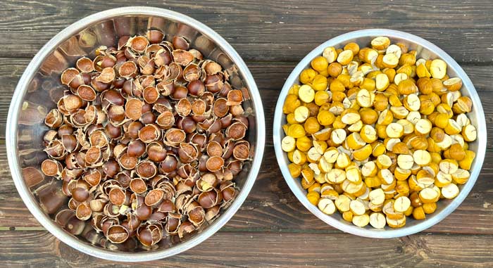 Finished chestnuts (right) ready to go to the next step in flour making. Shells (left) ready to go into compost.