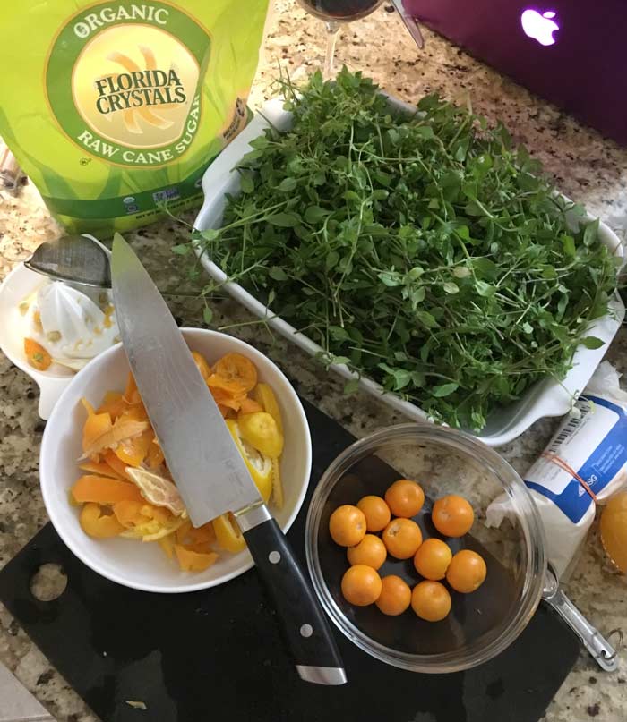Making chickweed wine - and a mess.