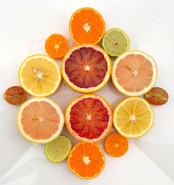 Here are a few of the reasons we grow and propagate our own citrus, despite it being a lot of work. 