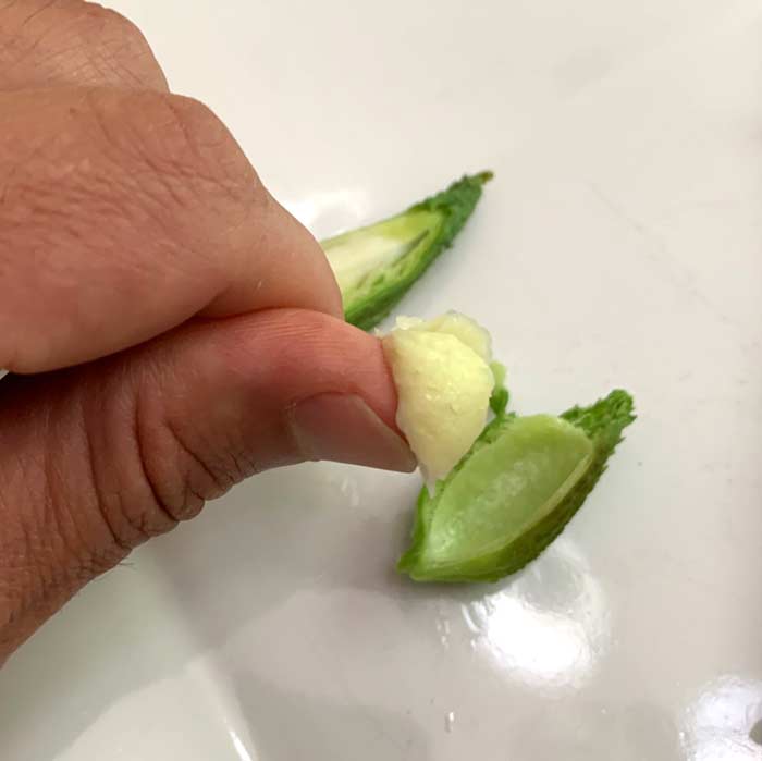 Cooked immature seeds and silk of a Common milkweed pod: one of the most interesting and flavorful parts of a veggie you'll ever eat! 