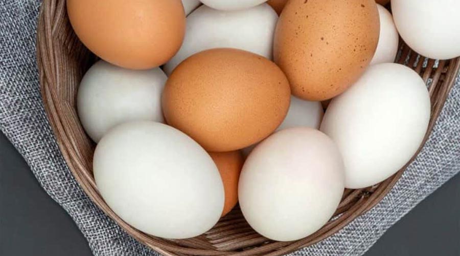 Will you save money by producing backyard eggs from your own poultry? thumbnail
