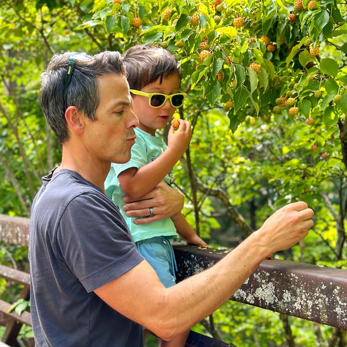 Me (the author of this article) and the kiddo enjoying a snack of kousa dogwood fruit. 