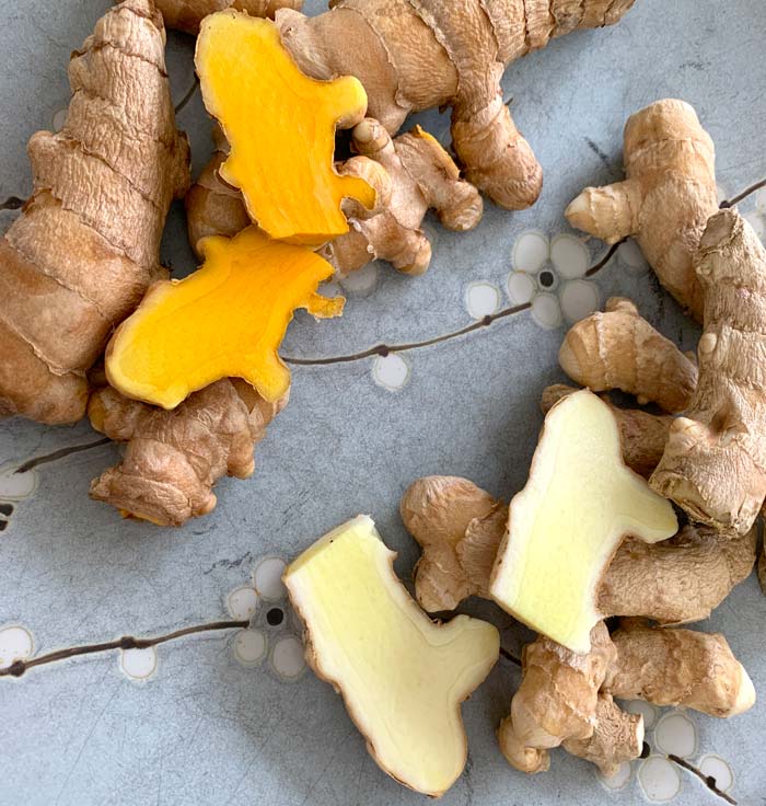 We've grown two types of turmeric: white mango and Indira yellow. Indira yellow is far tolerant of cold climates and actually overwinters under a heavy mulch layer here in Zone 7b (even survived single digit temps!). Thus, we grow it as a perennial, and can go outside to dig turmeric whenever we need it. Neither white mango turmeric or related ginger plants can survive our winters in-ground. 