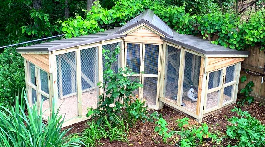Need duck coop ideas? Come tour Waddle Inn! thumbnail