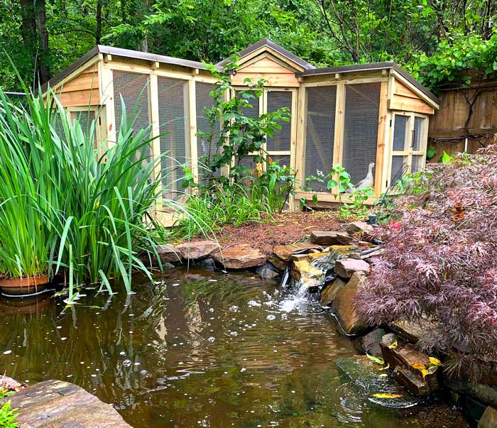 Duck coop design ideas and inspiration - Waddle Inn, a duck coop by Tyrant Farms