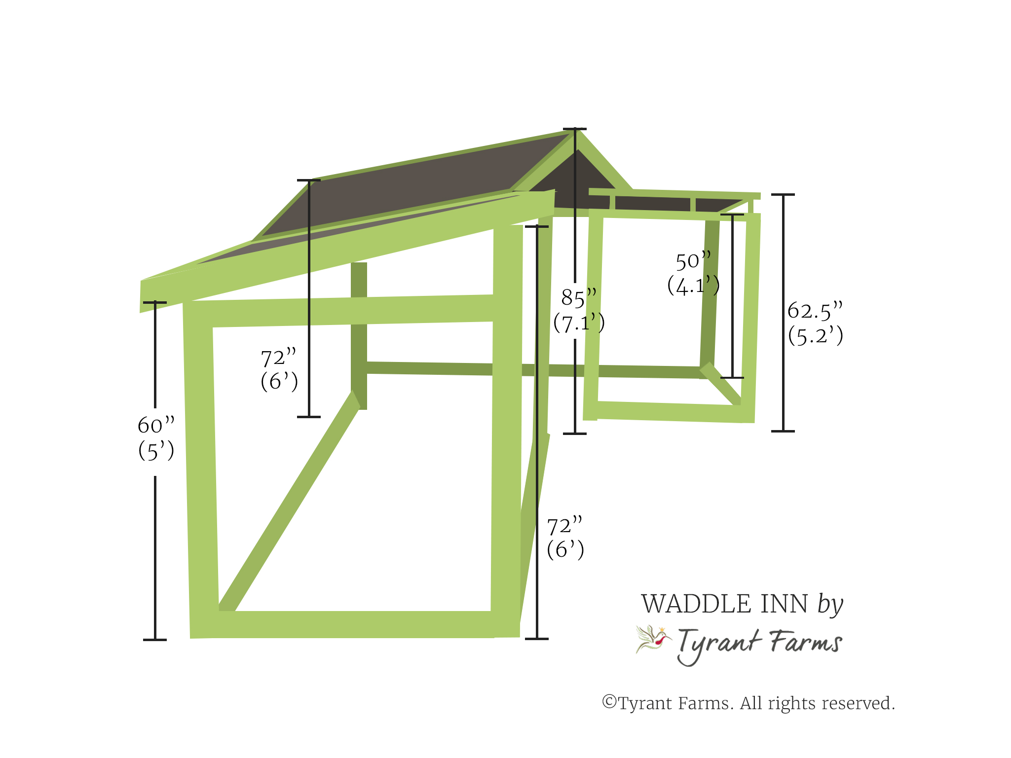 Duck coop plans - height dimensions